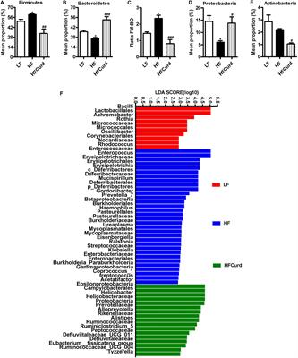 Curdlan Prevents the Cognitive Deficits Induced by a High-Fat Diet in Mice via the Gut-Brain Axis